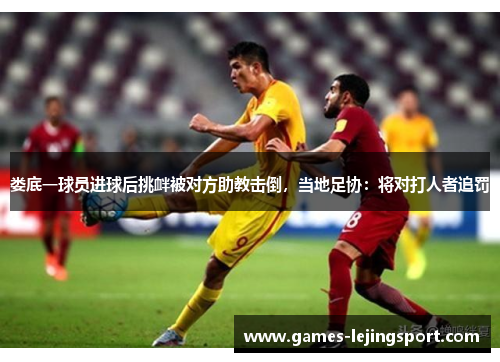 娄底一球员进球后挑衅被对方助教击倒，当地足协：将对打人者追罚